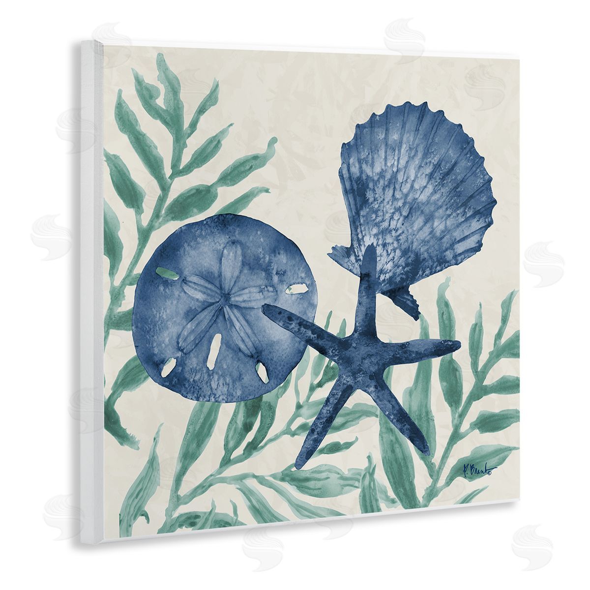 Paul Brent Maritime Tampico Shells Canvas Wall Art Print