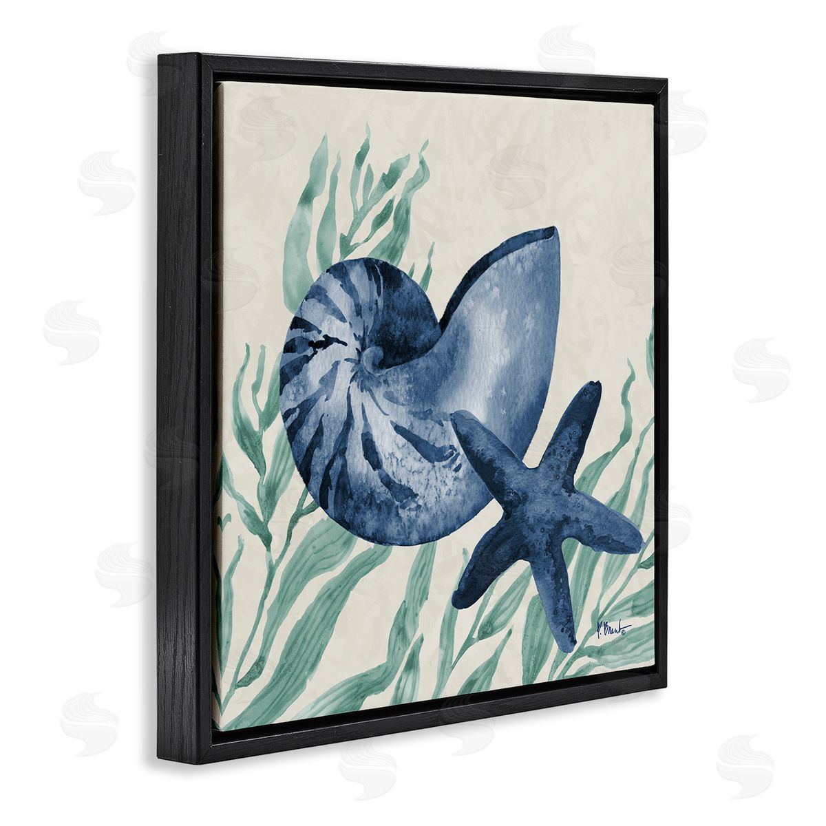Paul Brent Nautical Tampico Shells Canvas Wall Art Print