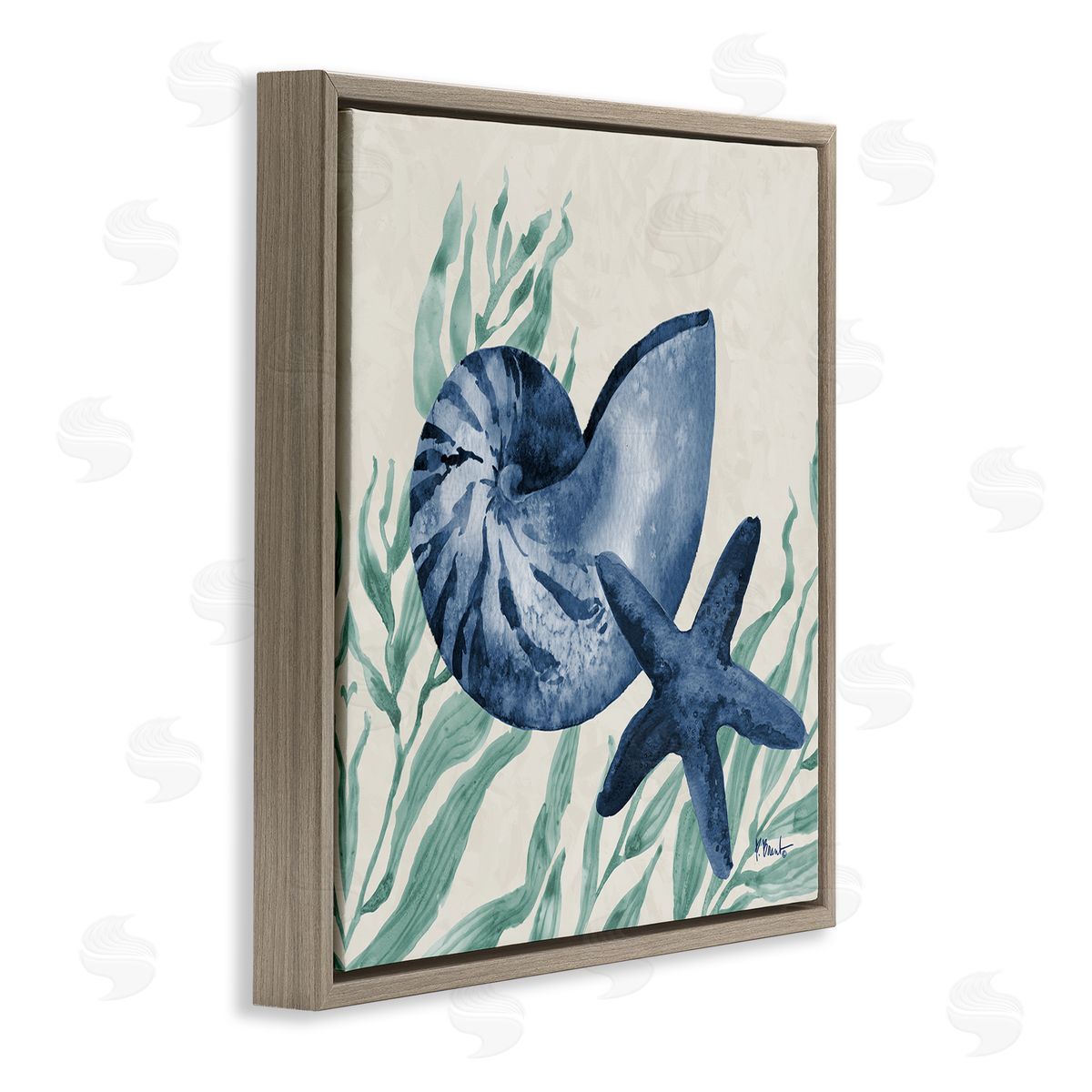 Paul Brent Nautical Tampico Shells Canvas Wall Art Print