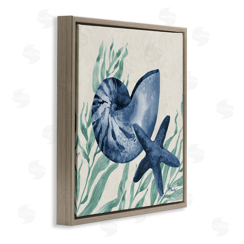 Paul Brent | Nautical Tampico Shells