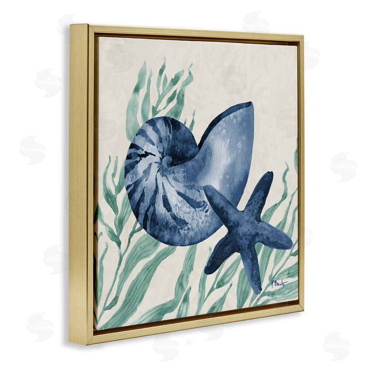 Paul Brent Nautical Tampico Shells Canvas Wall Art Print