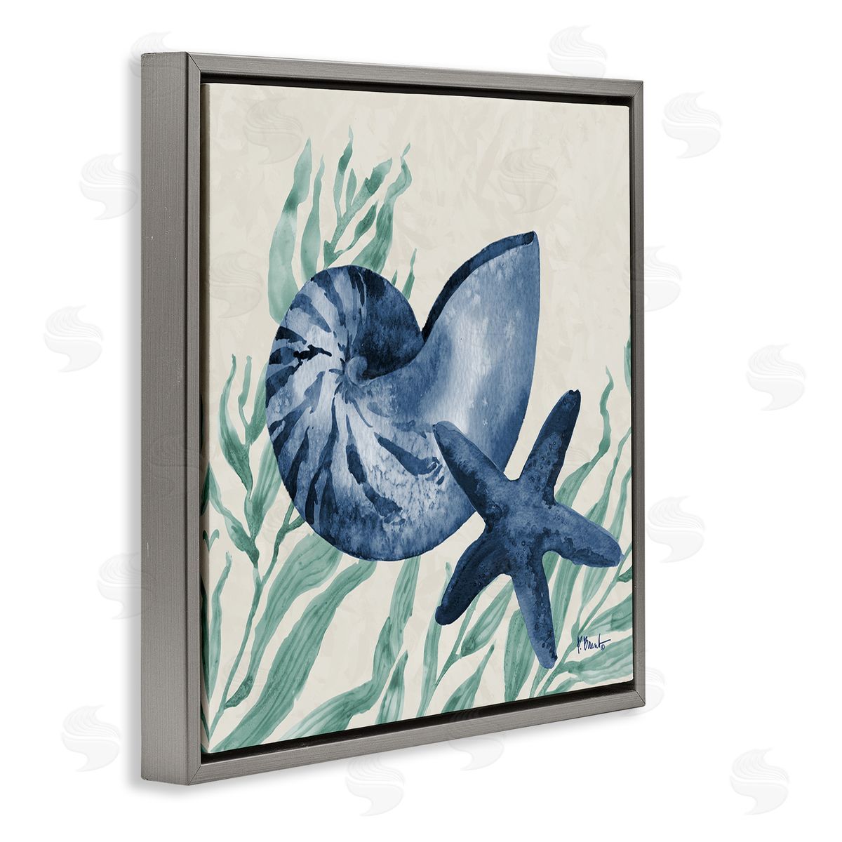 Paul Brent Nautical Tampico Shells Canvas Wall Art Print