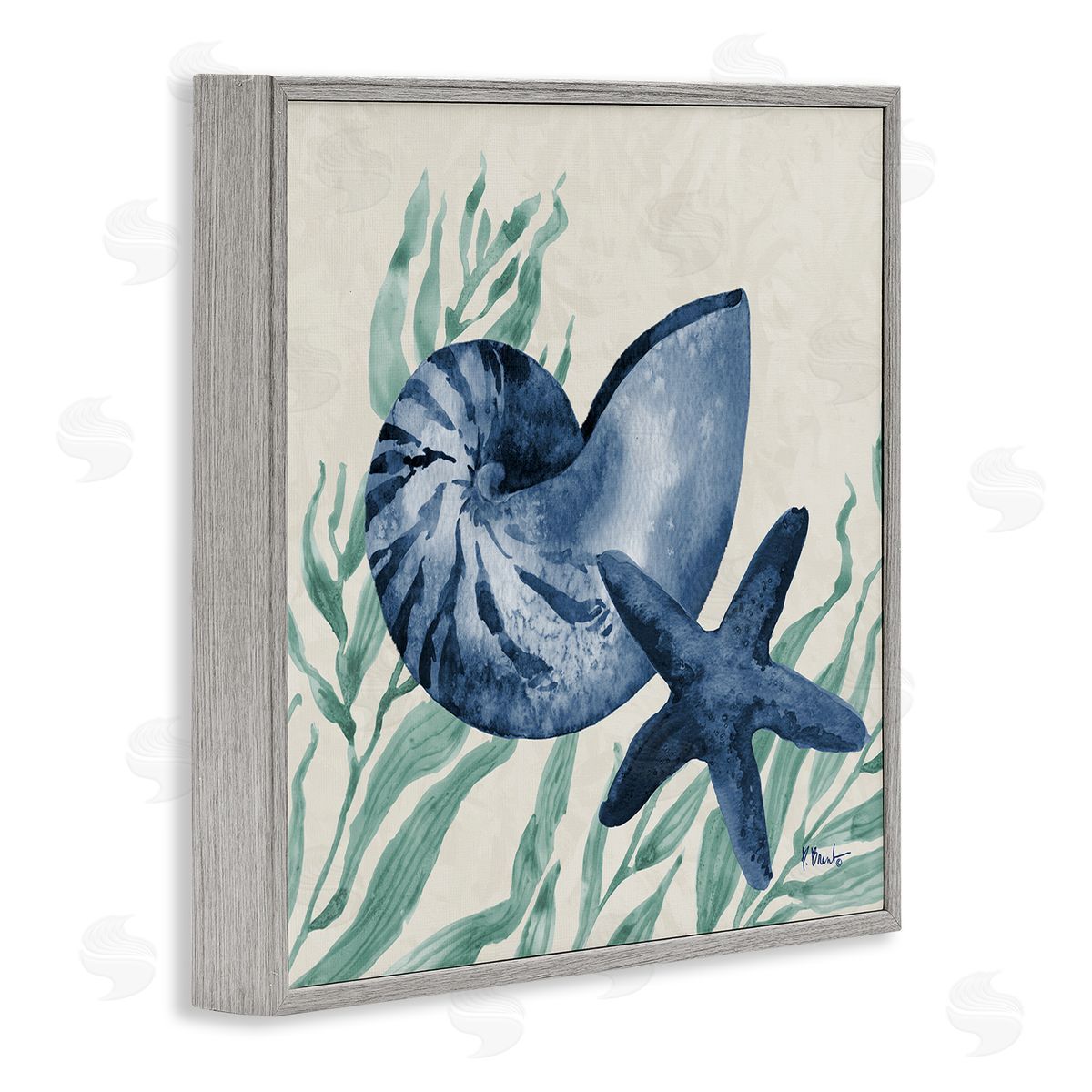 Paul Brent Nautical Tampico Shells Canvas Wall Art Print