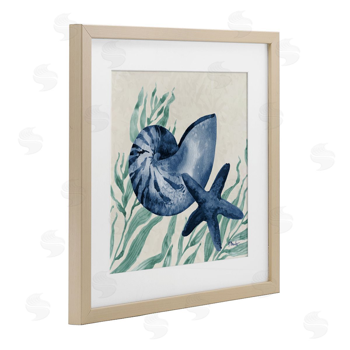 Paul Brent Nautical Tampico Shells Canvas Wall Art Print
