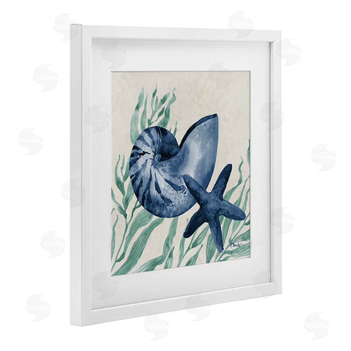 Paul Brent Nautical Tampico Shells Canvas Wall Art Print