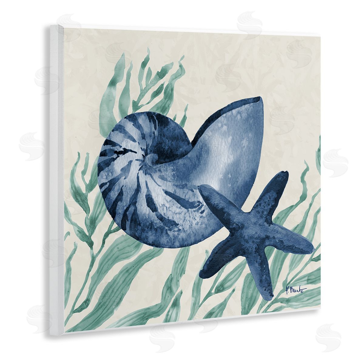 Paul Brent Nautical Tampico Shells Canvas Wall Art Print