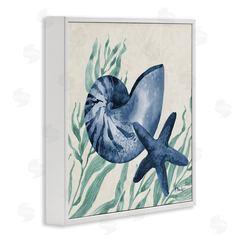 Paul Brent | Nautical Tampico Shells