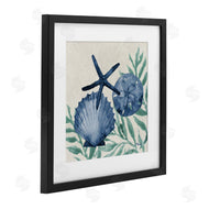 Paul Brent | Tampico Shells in Blue