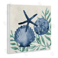 Paul Brent | Tampico Shells in Blue