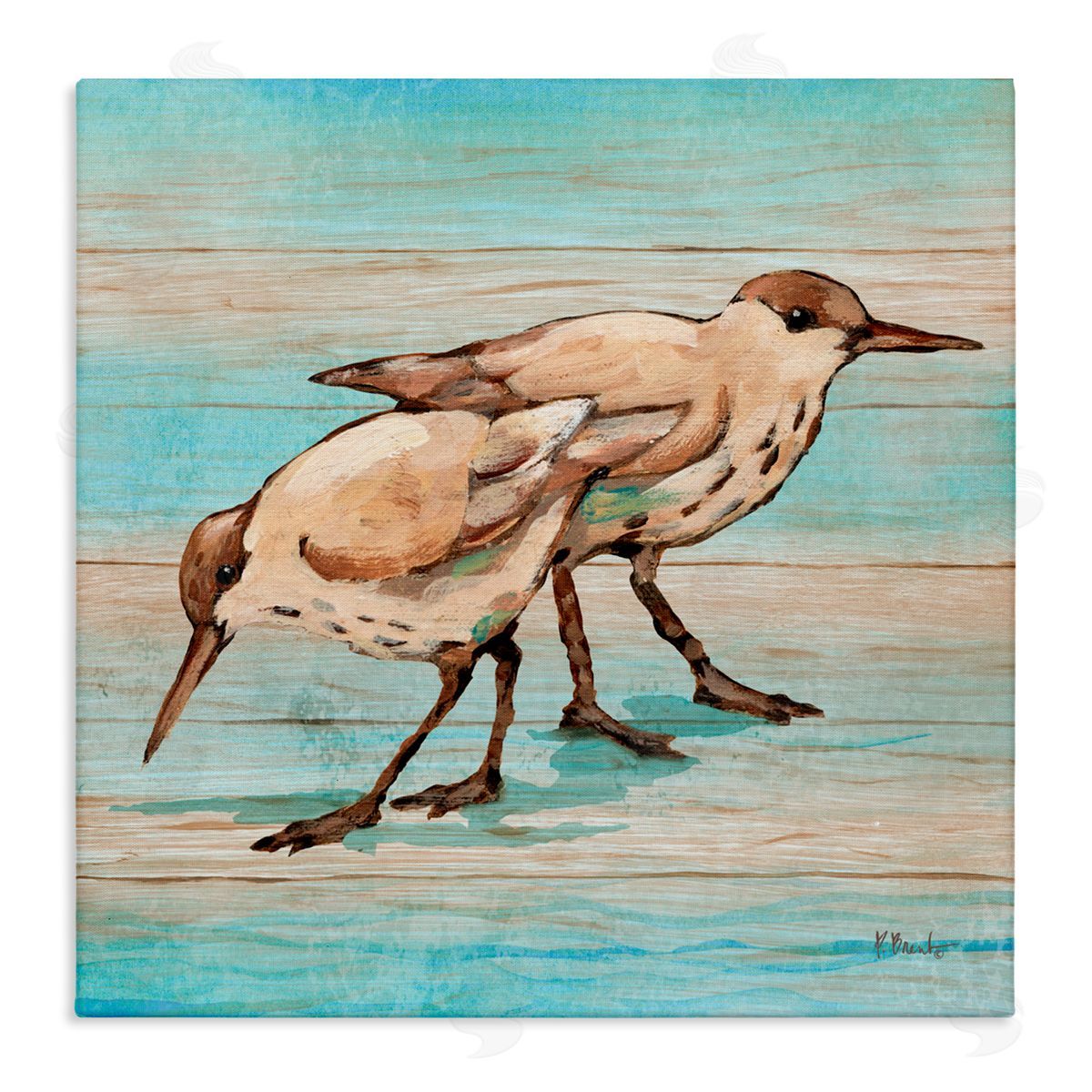 Paul Brent Coastal Teak Birds Canvas Wall Art Print