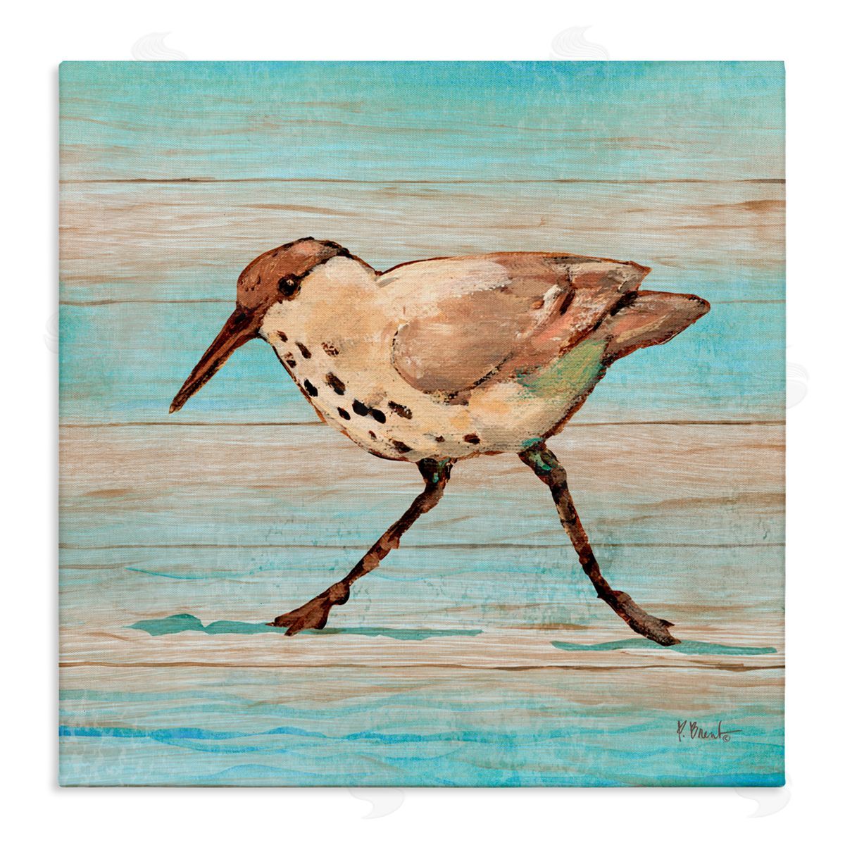 Paul Brent Coastal Teak Sandpiper Canvas Wall Art Print