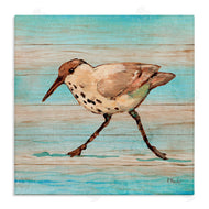 Paul Brent | Coastal Teak Sandpiper