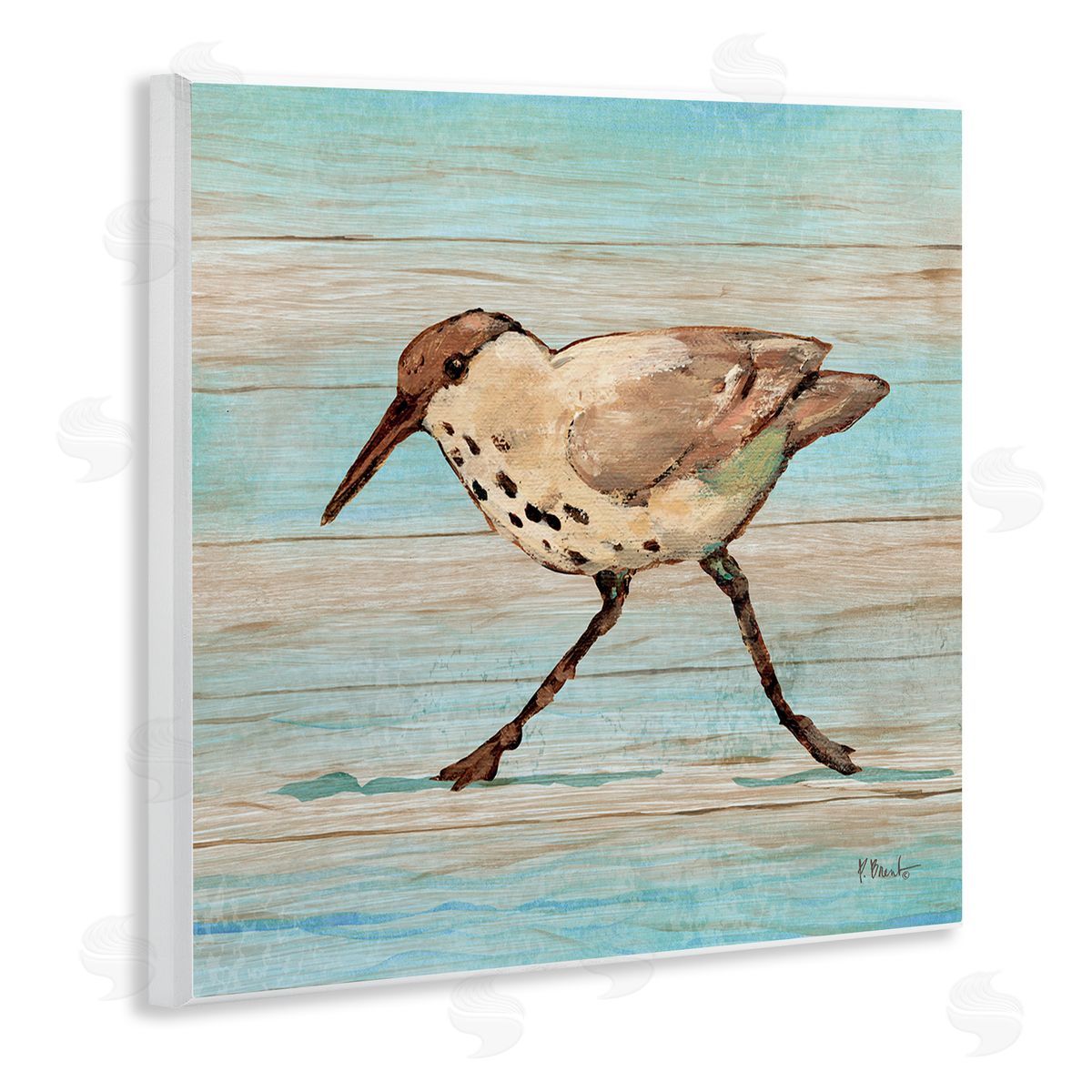 Paul Brent Coastal Teak Sandpiper Canvas Wall Art Print