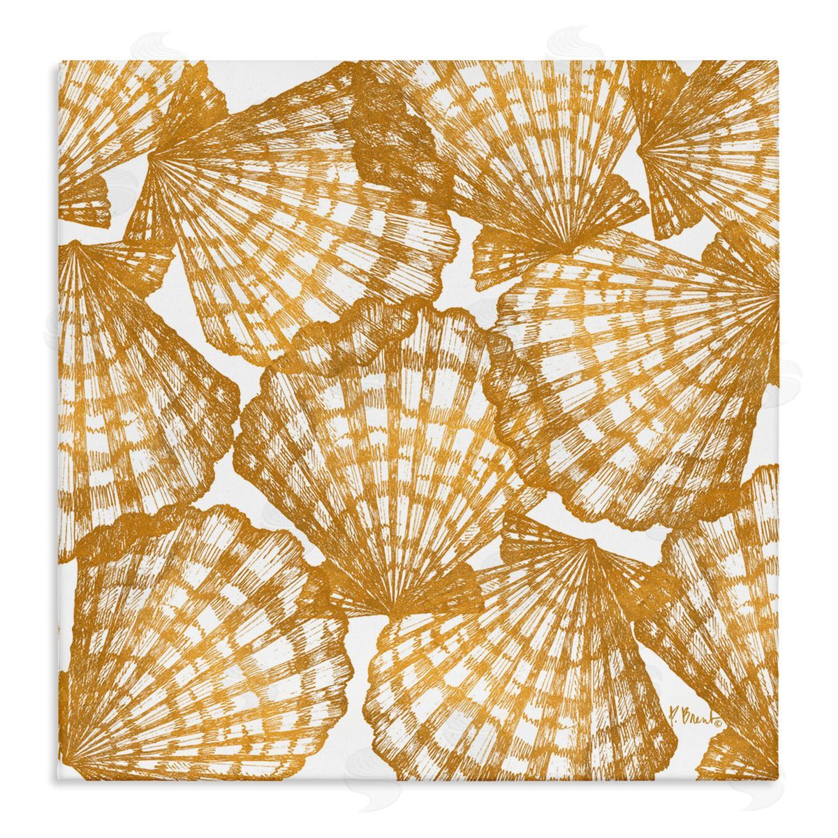 Paul Brent Gold Tropez Shells Canvas Wall Art Print