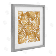 Paul Brent | Gold Tropez Shells