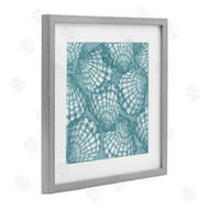 Paul Brent | Tropez Striped Seashells