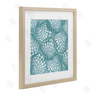 Paul Brent | Tropez Striped Seashells