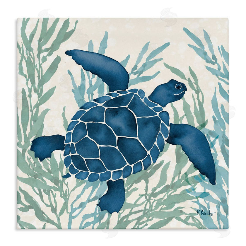Paul Brent | Radiant Sea Life Tortoise