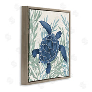 Paul Brent | Radiant Sea Life Tortoise