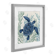 Paul Brent | Radiant Sea Life Tortoise
