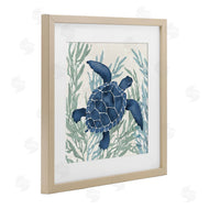 Paul Brent | Radiant Sea Life Tortoise