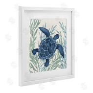 Paul Brent | Radiant Sea Life Tortoise