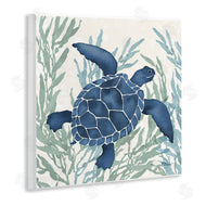 Paul Brent | Radiant Sea Life Tortoise
