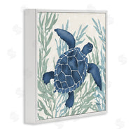 Paul Brent | Radiant Sea Life Tortoise