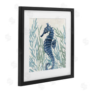 Paul Brent | Radiant Sea Life Seahorse