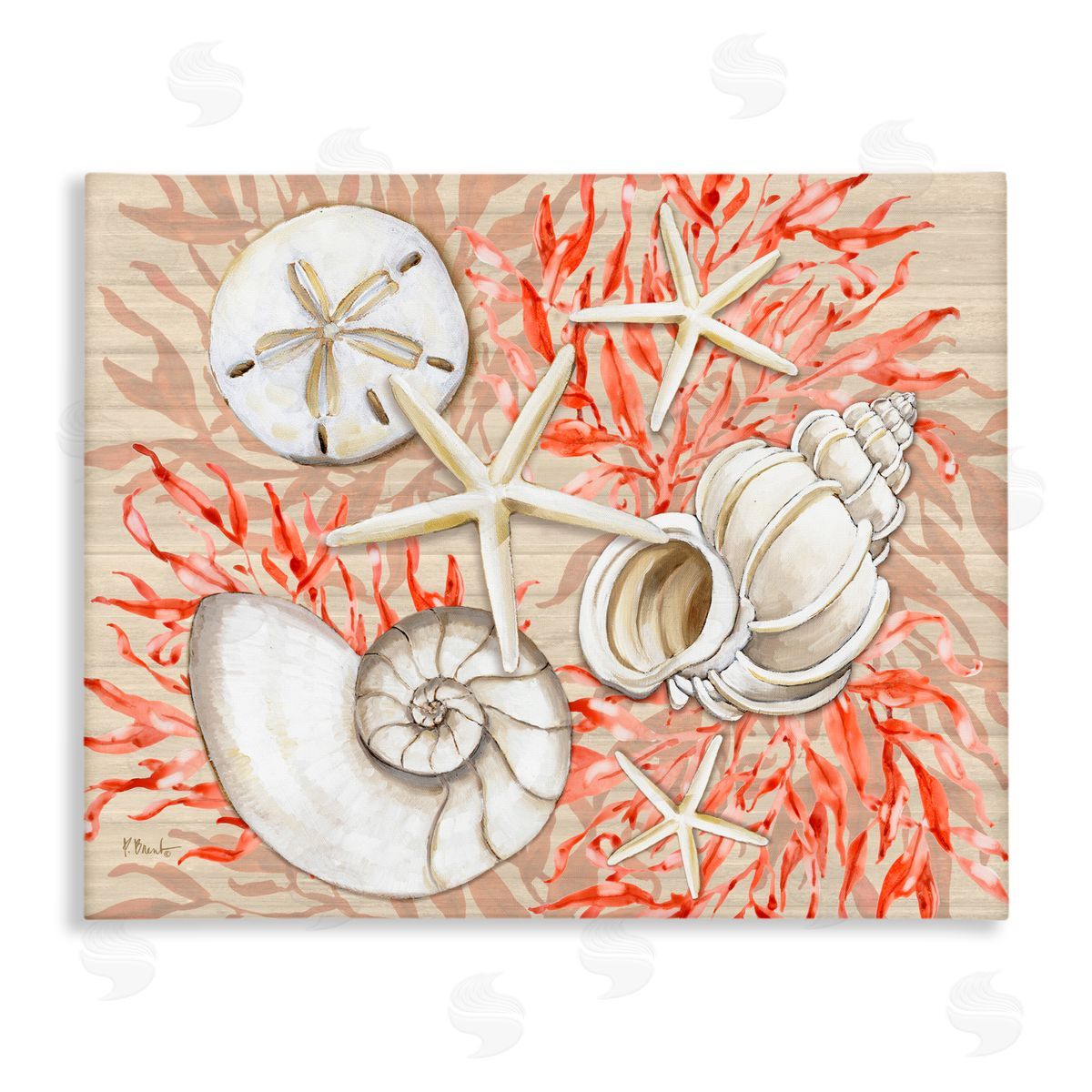 Paul Brent Coral White Shells Canvas Wall Art Print