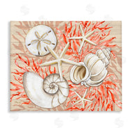 Paul Brent | Coral White Shells