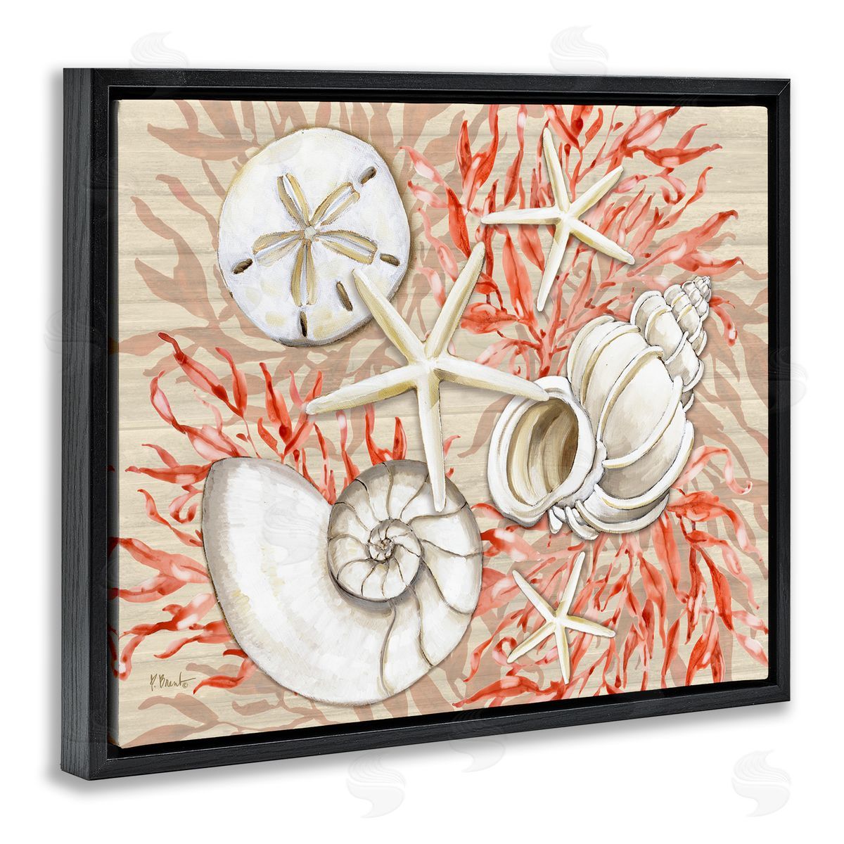 Paul Brent Coral White Shells Canvas Wall Art Print