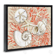 Paul Brent | Coral White Shells