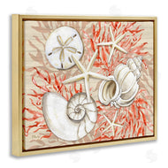 Paul Brent | Coral White Shells
