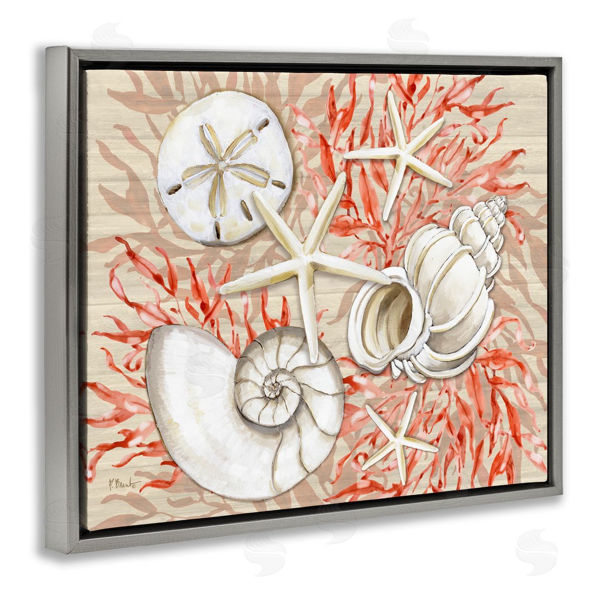 Paul Brent Coral White Shells Canvas Wall Art Print
