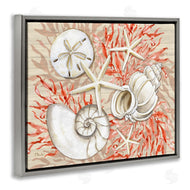 Paul Brent | Coral White Shells