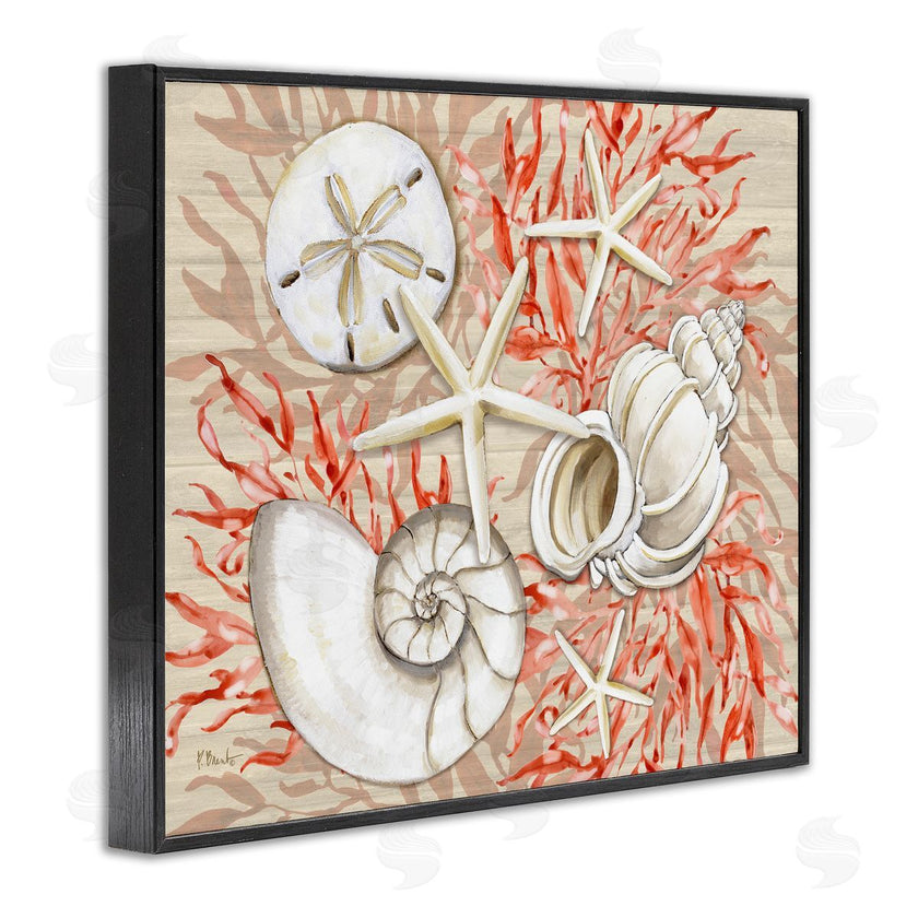 Paul Brent | Coral White Shells