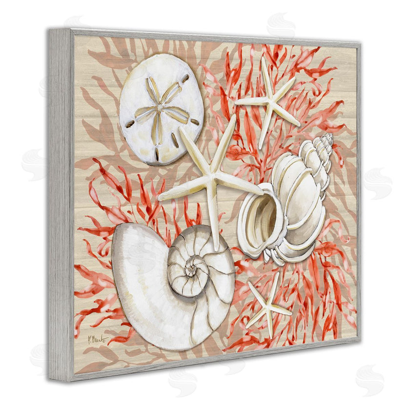 Paul Brent | Coral White Shells