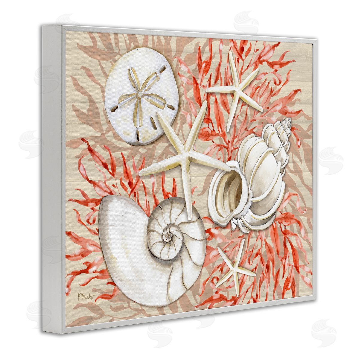 Paul Brent Coral White Shells Canvas Wall Art Print