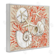 Paul Brent | Coral White Shells