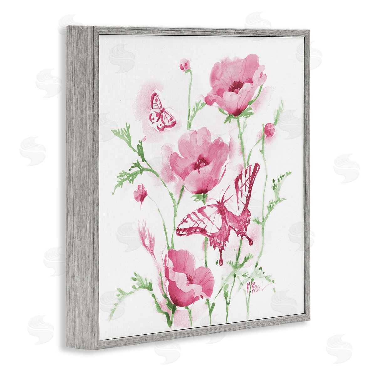 Paul Brent Pink Province Poppies Canvas Wall Art Print