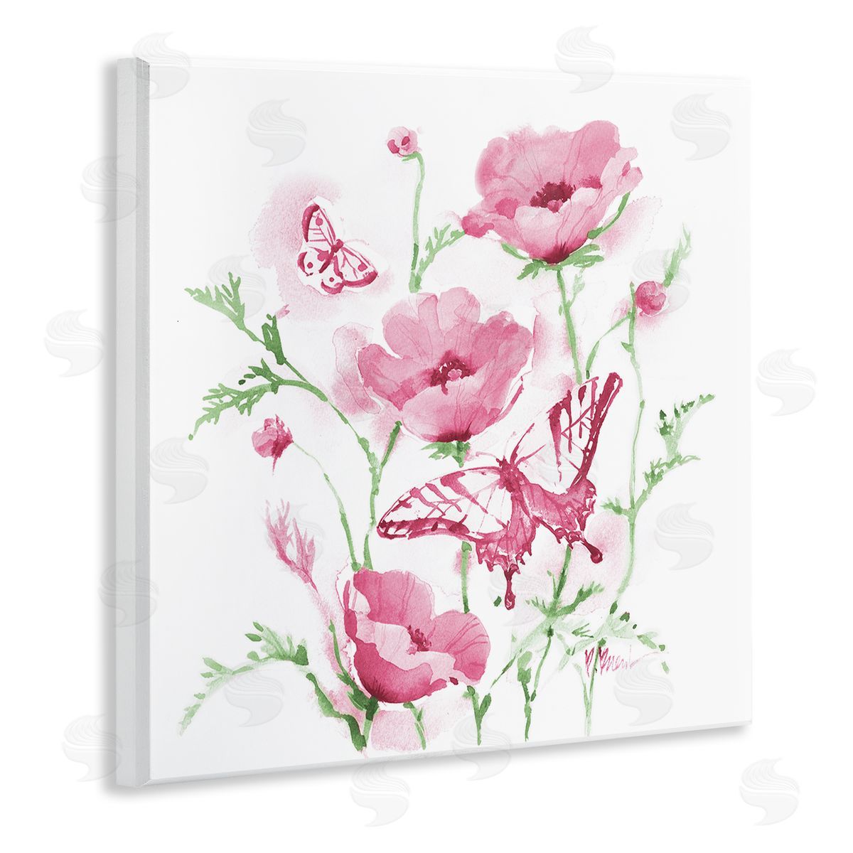 Paul Brent Pink Province Poppies Canvas Wall Art Print
