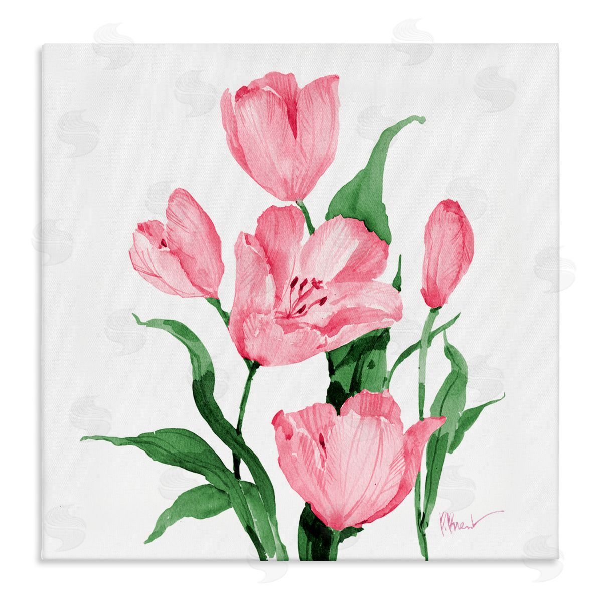 Paul Brent Province Tulips in Pink Canvas Wall Art Print