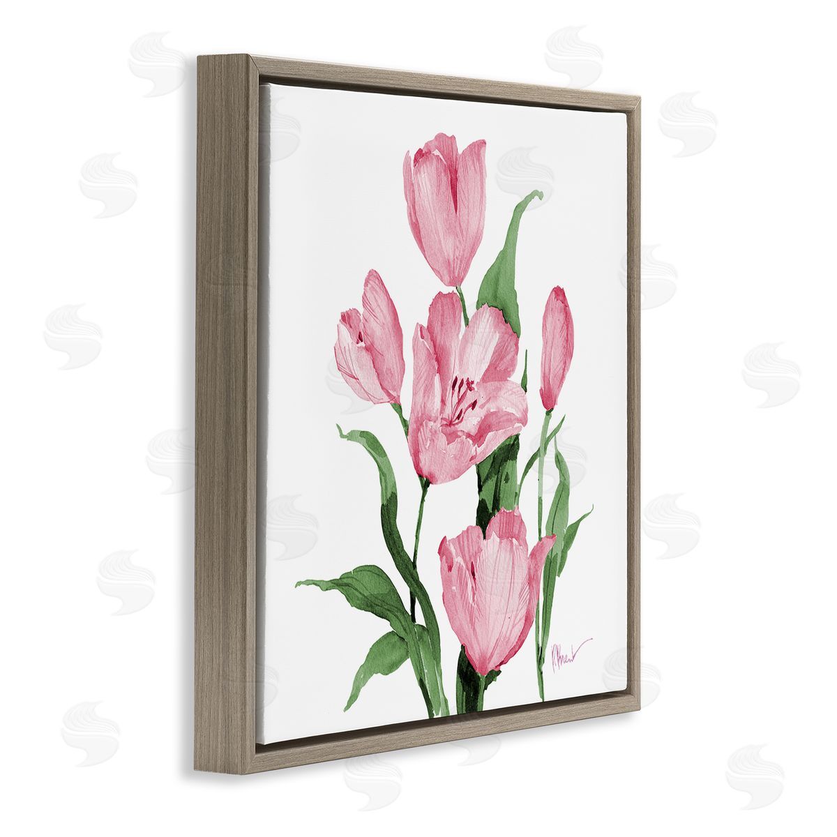 Paul Brent Province Tulips in Pink Canvas Wall Art Print