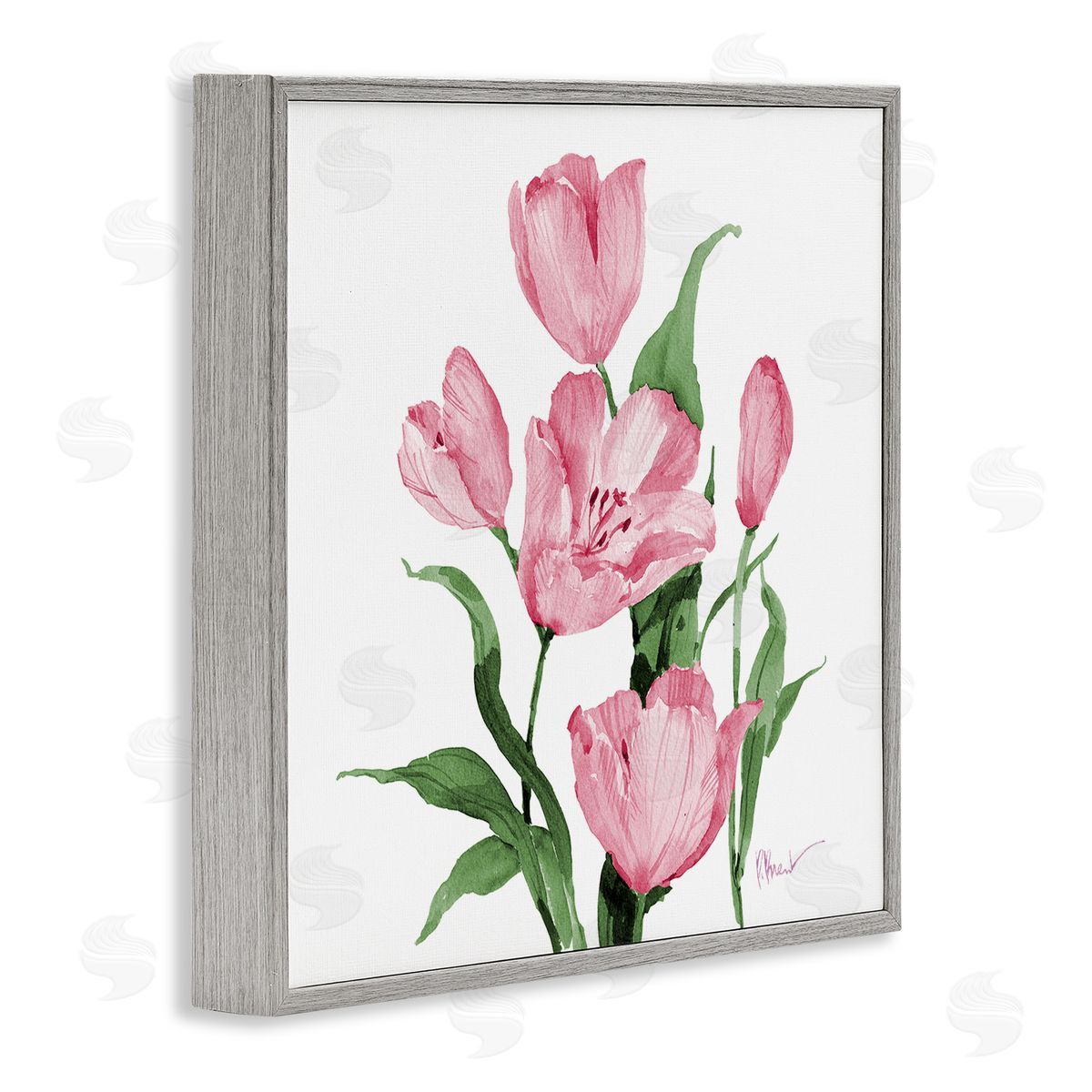 Paul Brent Province Tulips in Pink Canvas Wall Art Print