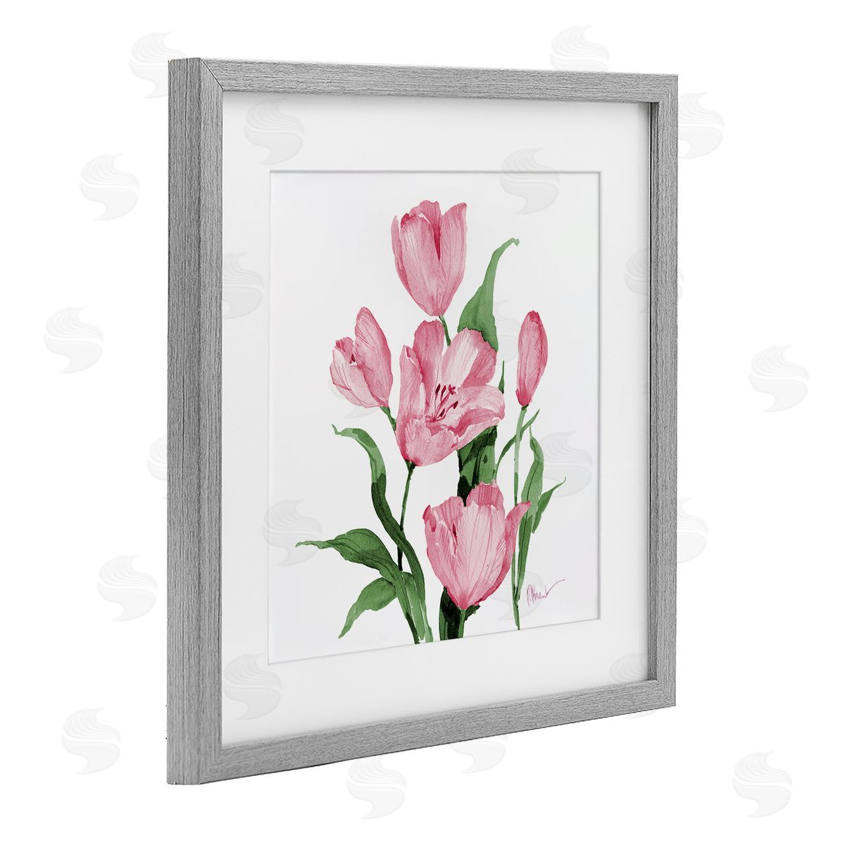 Paul Brent Province Tulips in Pink Canvas Wall Art Print