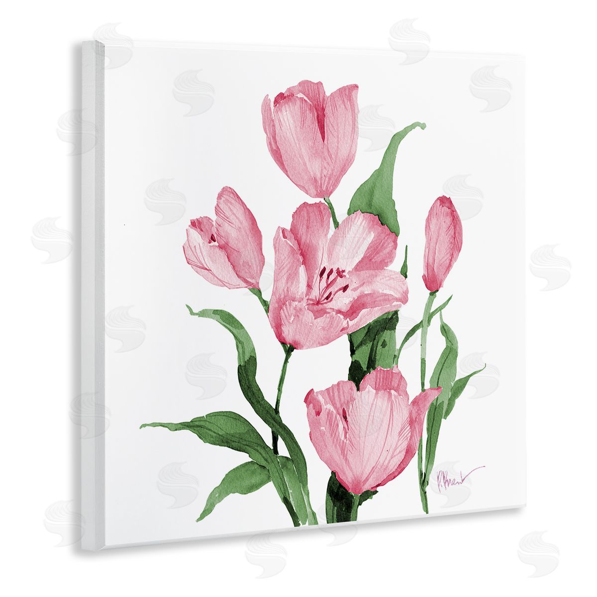 Paul Brent Province Tulips in Pink Canvas Wall Art Print