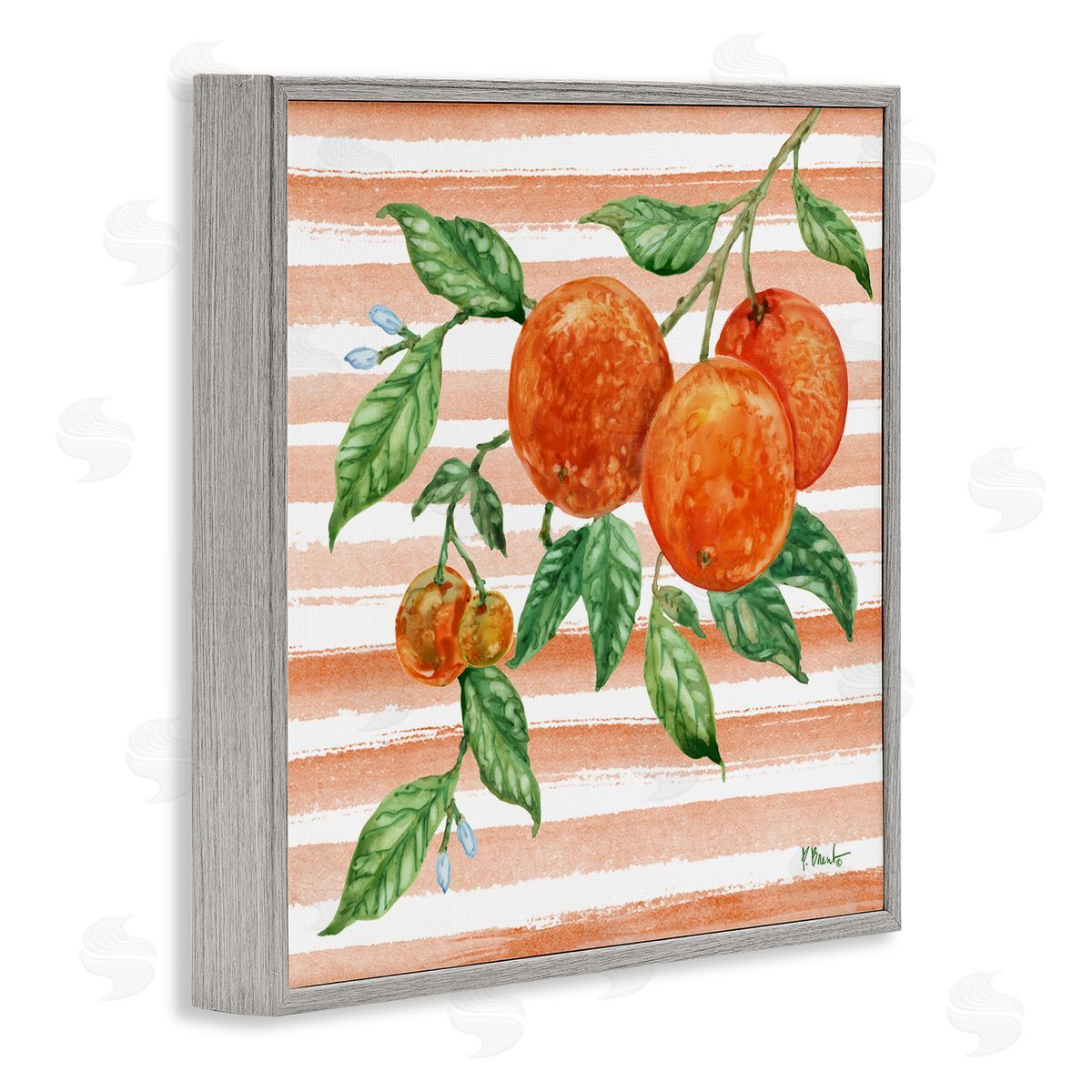 Paul Brent Bright Juicy Orange Vine Canvas Wall Art Print