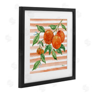 Paul Brent | Bright Juicy Orange Vine