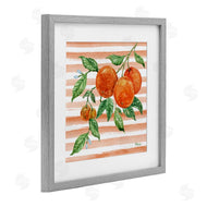Paul Brent | Bright Juicy Orange Vine
